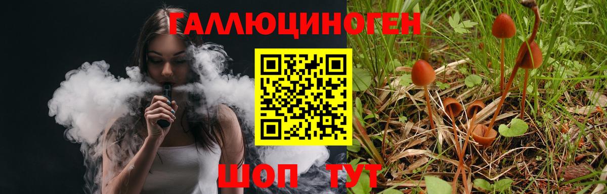Псилоцибиновые грибы Magic Shrooms Майкоп